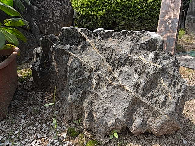 e0126548_2334829.jpg