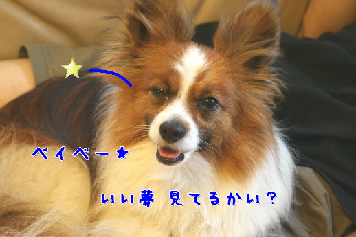 d0013149_12347.jpg