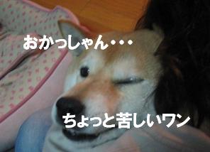 影響されまくり~♪_c0049950_8384695.jpg