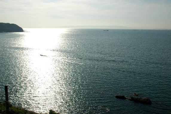 　　冷水浦（しみずうら）から和歌浦湾を眺む　　２０２２-０７-１０　００：００ 　　_b0093754_0563783.jpg