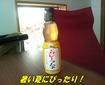 奇跡の飲料_e0094656_2175392.jpg