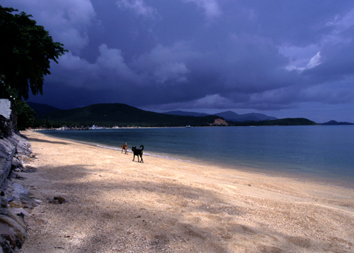 d0080957_07725.jpg