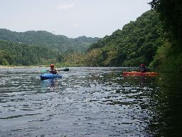 d0043161_2355570.jpg