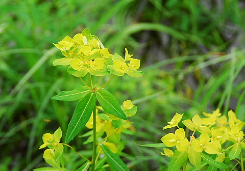 b0053765_21345846.jpg