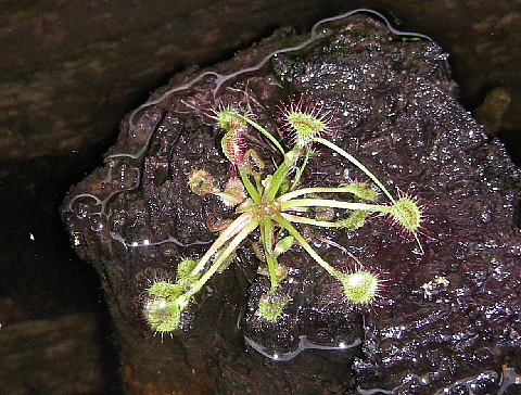 b0053765_22391018.jpg