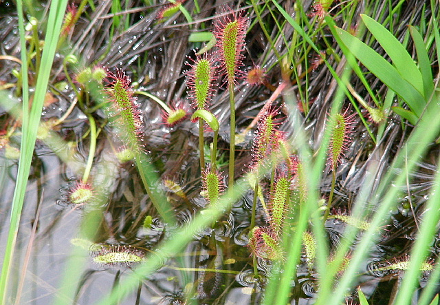b0053765_22585286.jpg