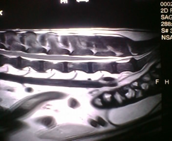 f0096569_94160.jpg