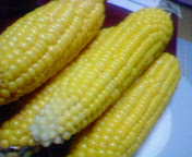 f0140174_13311643.jpg