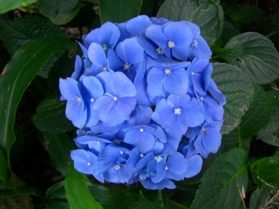 c0078480_15121476.jpg