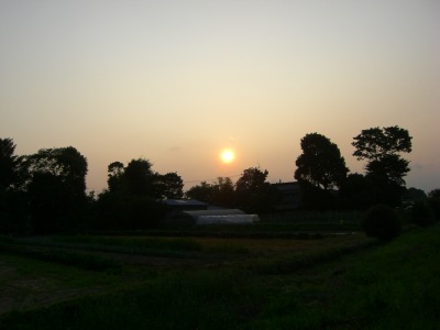 c0078480_2320775.jpg