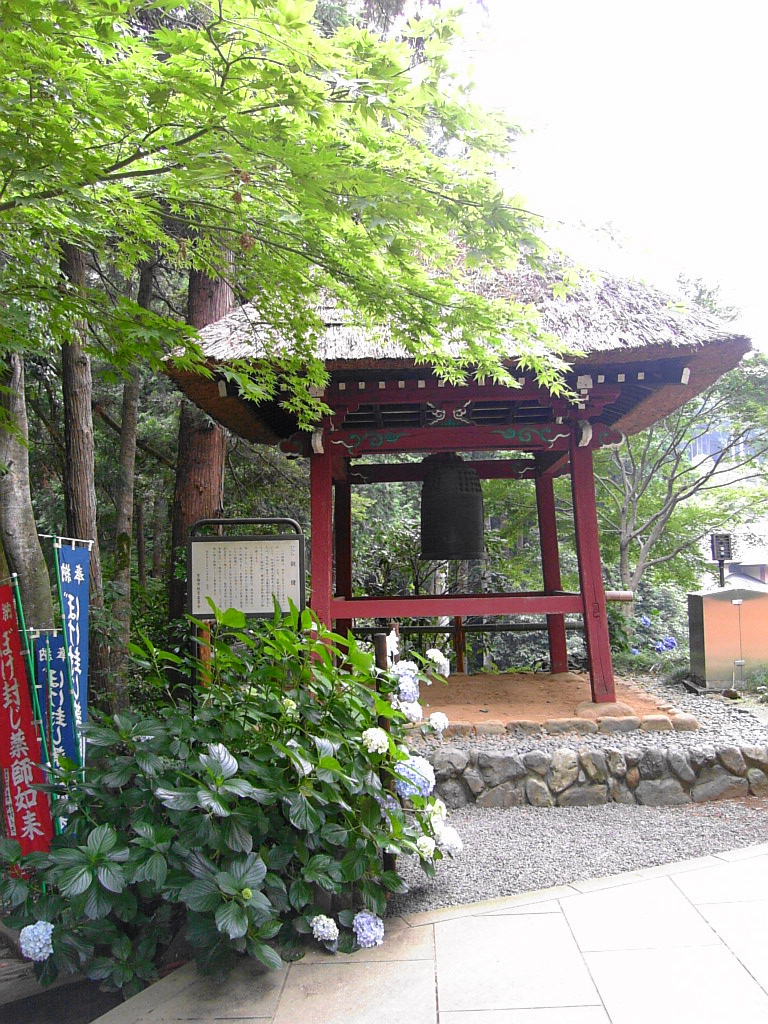 塩船観音寺_a0078986_23384096.jpg