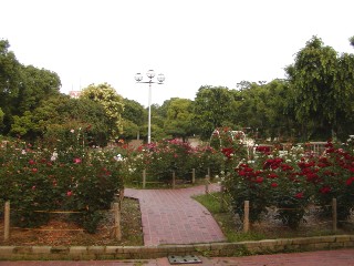 f0021504_17505048.jpg