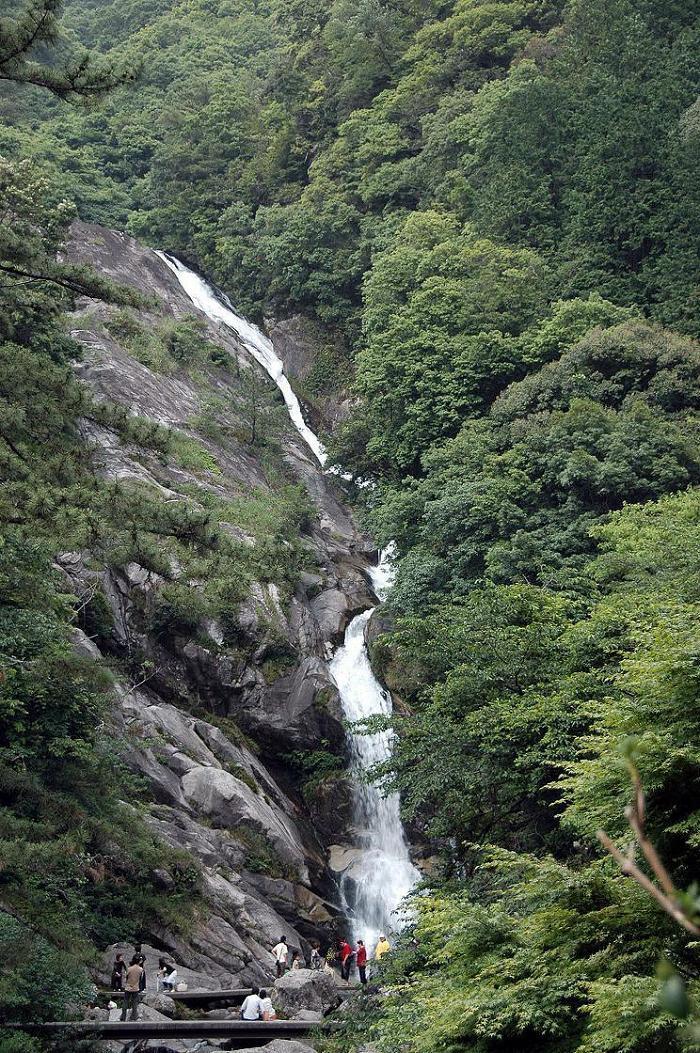 佐賀県 もう一つの見どころ_a0042310_21551947.jpg