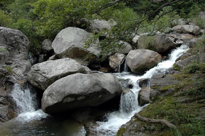 佐賀県 もう一つの見どころ_a0042310_21591887.jpg