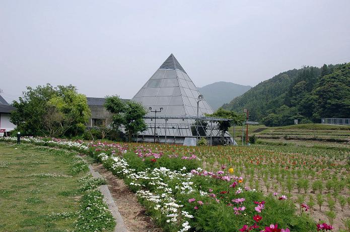 佐賀県 もう一つの見どころ_a0042310_22214875.jpg