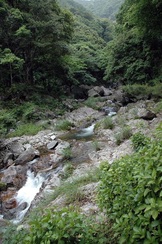 佐賀県 もう一つの見どころ_a0042310_2255039.jpg