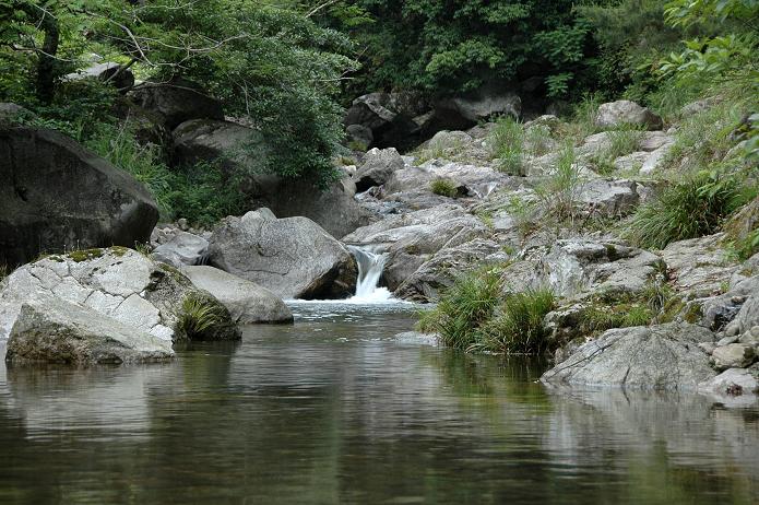 佐賀県 もう一つの見どころ_a0042310_2262540.jpg