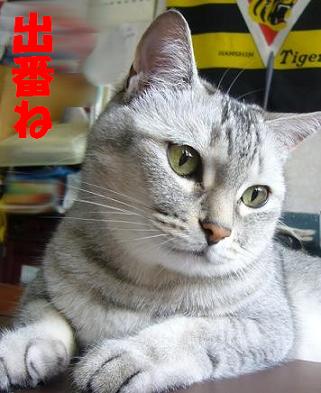 2007年 7月7日_f0002743_10461928.jpg