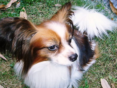 e0100046_20493329.jpg