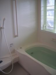 c0034764_15342.jpg