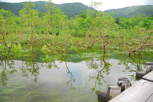 b0053765_23163018.jpg