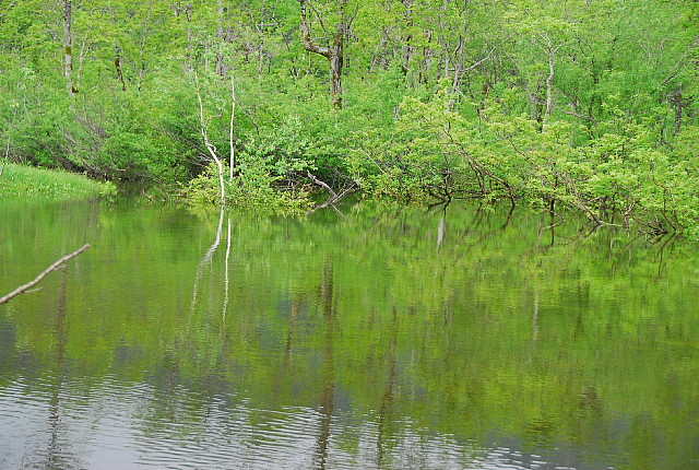 b0053765_2317259.jpg