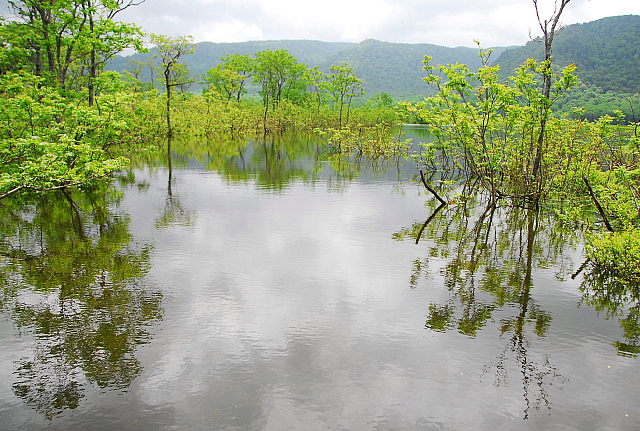 b0053765_23172597.jpg