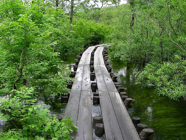 b0053765_23301594.jpg