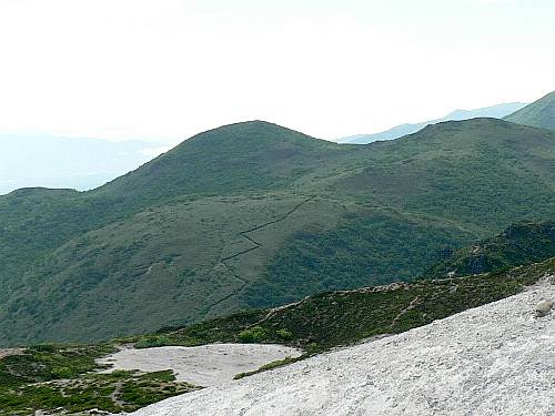 d0084473_19275577.jpg