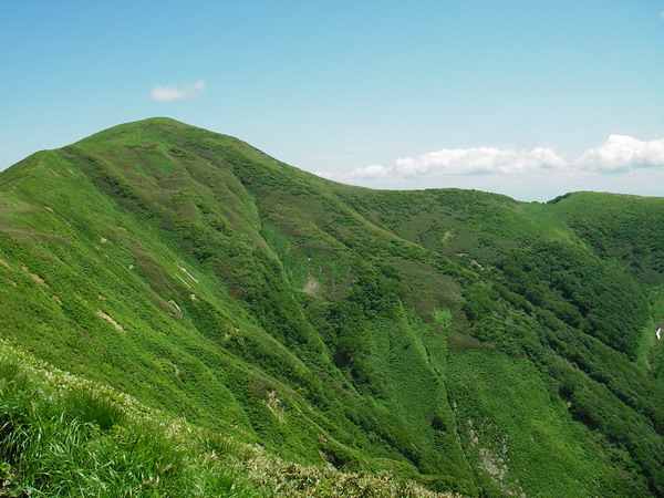 a0043193_17264214.jpg