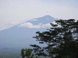 a0036499_124257100.jpg