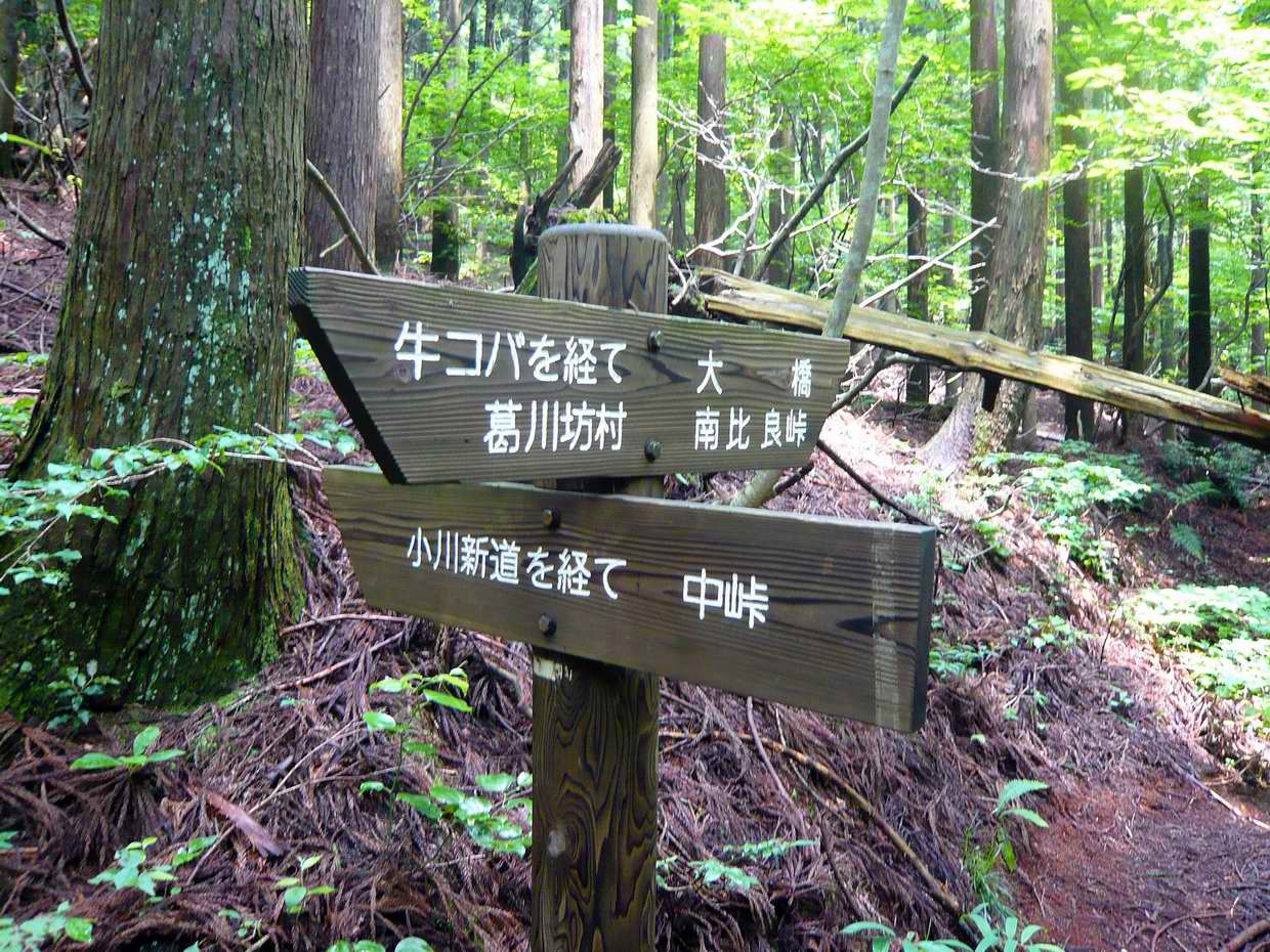 武奈ヶ岳登山訓練_e0110500_2255242.jpg