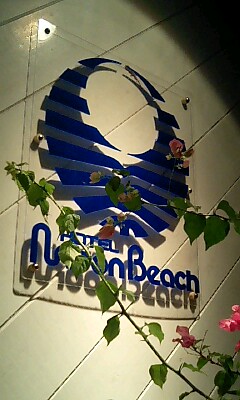 e0104204_934337.jpg