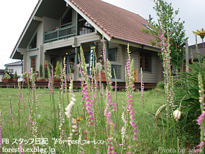 e0100618_13581527.jpg