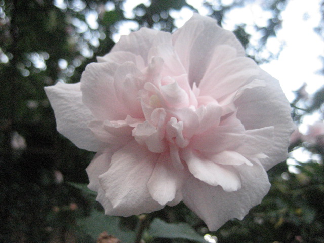 c0049825_16313595.jpg