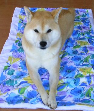 7月9日(月)・・・自然の恵み・2_f0060461_1419518.jpg