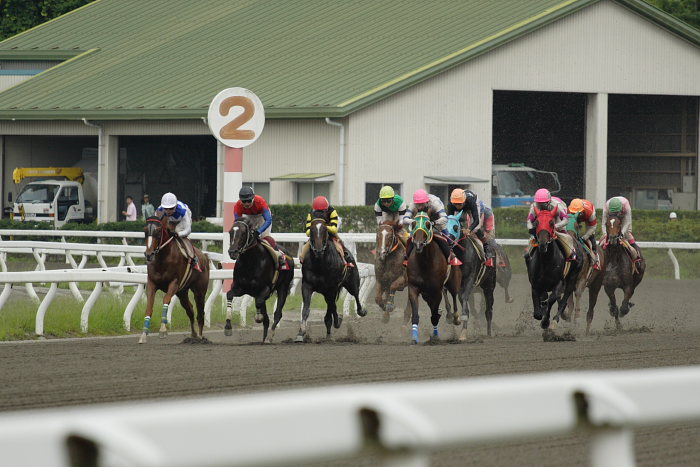 2007年7月8日（日） 高知競馬 9R 祝愛車御歳17歳特別 レース_a0077663_21153632.jpg