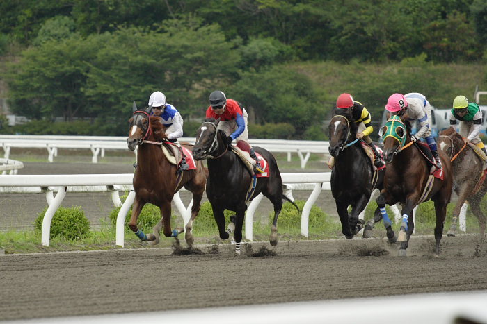 2007年7月8日（日） 高知競馬 9R 祝愛車御歳17歳特別 レース_a0077663_218252.jpg