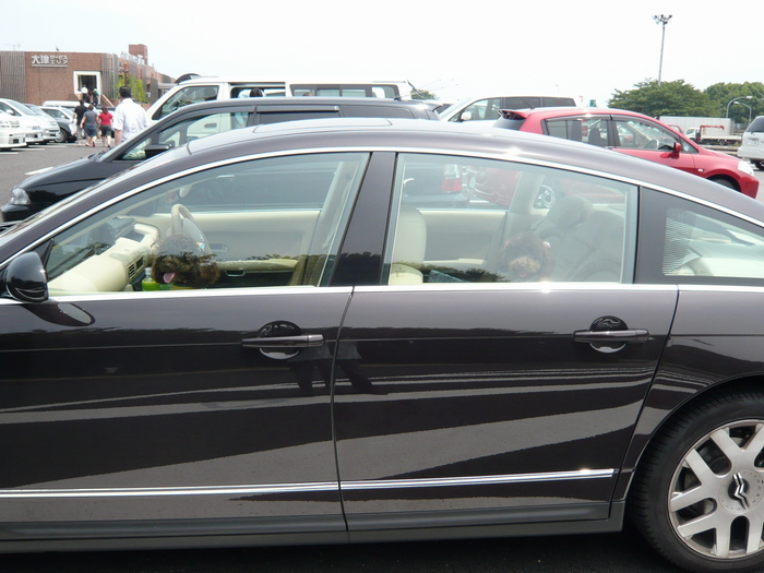c0084268_757029.jpg