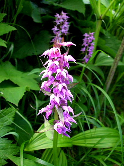 b0067569_1064355.jpg