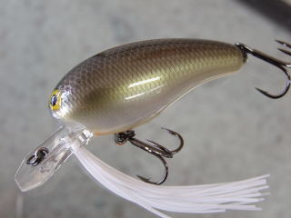 入荷_a0040876_1335208.jpg