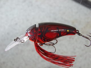入荷_a0040876_14192241.jpg