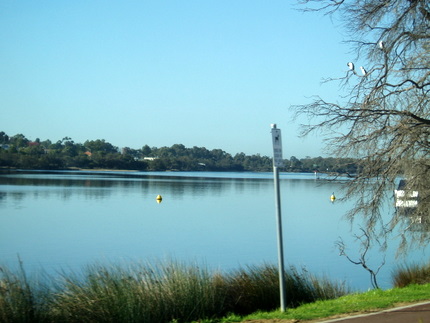 d0117077_14391627.jpg