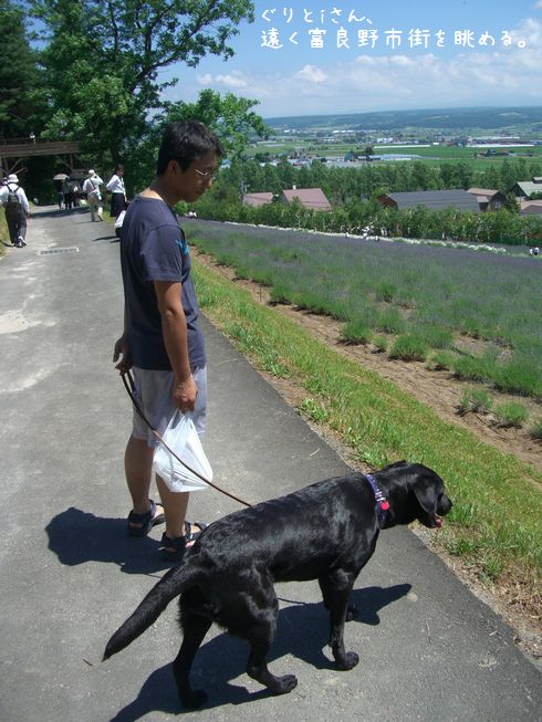 ぐり、富良野・美瑛を旅する。その4_b0000885_16435863.jpg