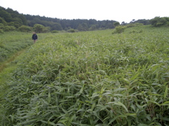 c0104296_12511994.jpg