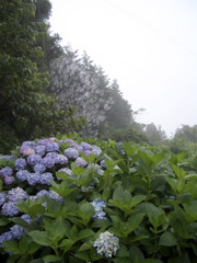 c0104296_13255624.jpg
