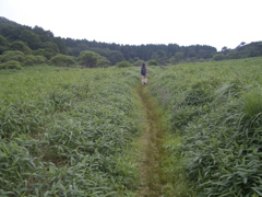 c0104296_13361716.jpg