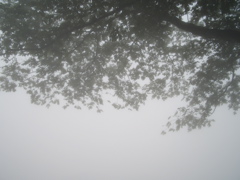 c0104296_136431.jpg