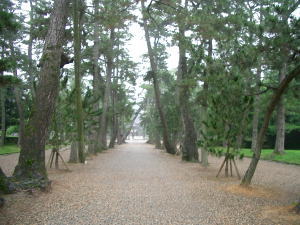 c0084903_23342333.jpg