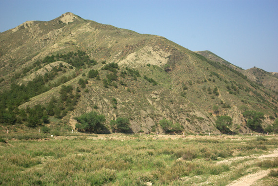 d0090322_22585280.jpg